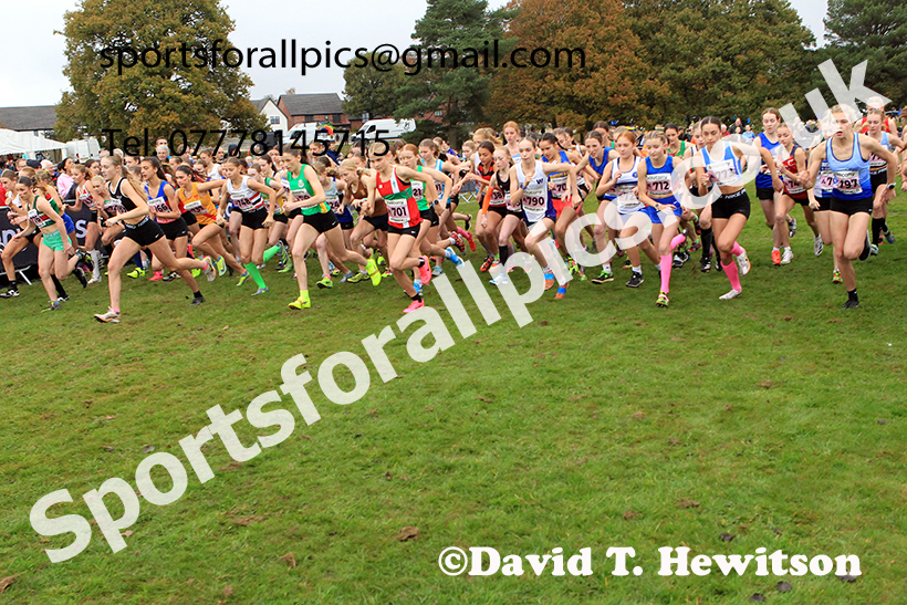 Girls Under-15s 2024 National Cross Country Relays, Berry Hill Park, Mansfield.   Photo: David T. Hewitson/Sports for All Pics